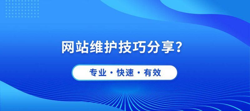 网络工程选购指南：打造高效信息高速公路